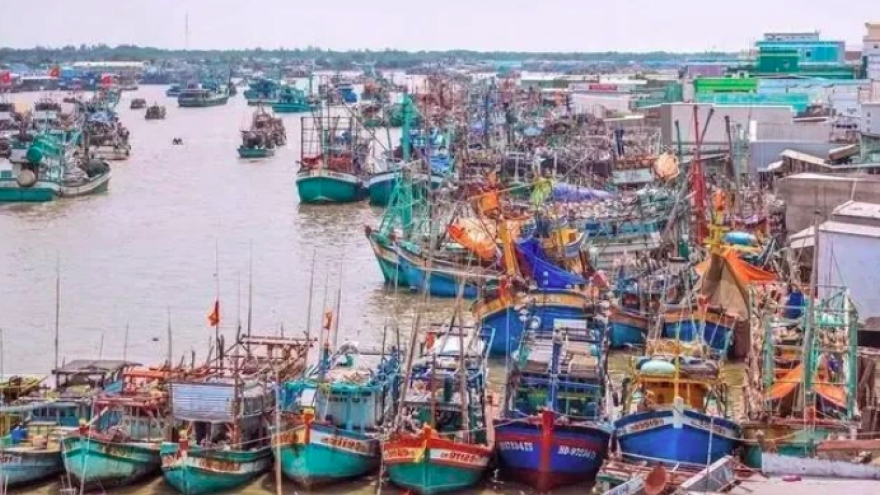 Vietnam adopts measures to have EC's IUU "yellow card" removed